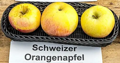 Manzanas 'Schweizer Orange'.