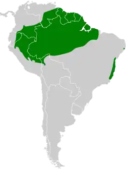 Distribución geográfica del tirahojas colinegro