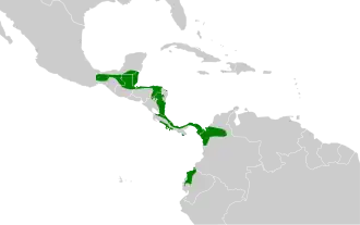 Distribución geográfica del tirahojas guatemalteco.