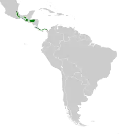 Distribución geográfica del tirahojas mexicano.
