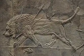 León moribundo, Cacería de leones de Asurbanipal, palacio del norte de Nínive.