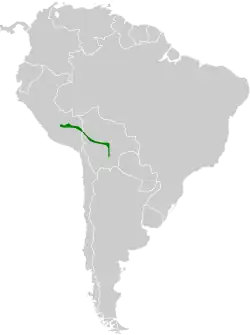 Distribución geográfica del churrín boliviano.