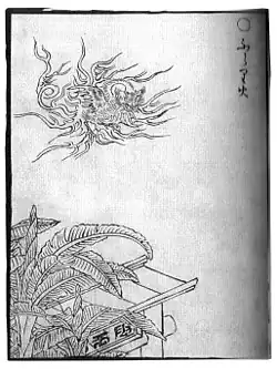 Furaribi significa llama sin objetivo.