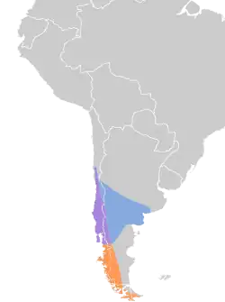 Distribución geográfica del colibrí austral.