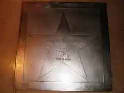 Estrella de Shigeru Miyamoto.