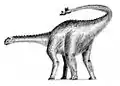 Shunosaurus.
