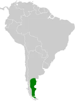 Distribución geográfica del chirigüe austral.