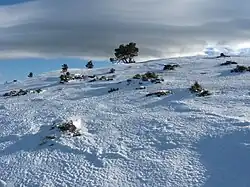Sierras de Urbión y Cebollera