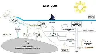 Ciclos marino y terrestre del silicio
