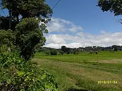 Vista general del área cercana