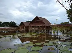 Sitio de la Victoria regia