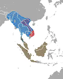 Distribución de Nycticebus spp. rojo = N. pygmaeus; azul = N. bengalensis; café = N. bancanus, N. borneaus, N. coucang, N. javanicus, N. kayan, & N. menagensis
