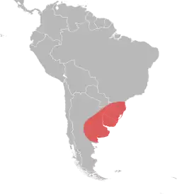 Rango original, y natural de Solenopsis richteri.