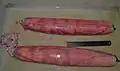 Úteros de un ejemplar de Somniosus rostratus capturado en el canal de Ibiza (Mediterráneo occidental) en 2013