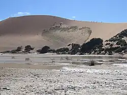 Laguna de carácter temporal formada en Sossusvlei después de una lluvia inusual en el mes de agosto que tuvo lugar 15 días antes de la foto.
