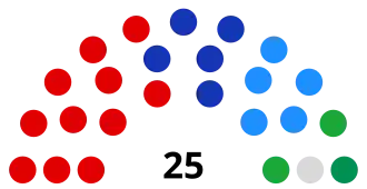 Elecciones municipales de 2007 en Estepona
