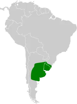 Distribución geográfica del canastero enano.