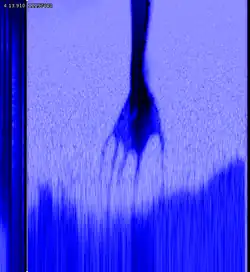 Abstract black shape of a hand, just like the one in the album cover art