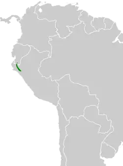 Distribución geográfica del hemispingo de Piura.