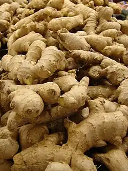 El jengibre (Zingiber officinale) sobrevive como rizoma subterráneo los 4 o 6 meses que dura el período desfavorable de climas monzónicos.