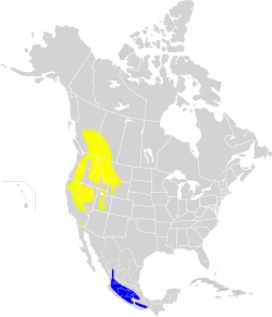 Distribución geográfica del colibrí calíope.