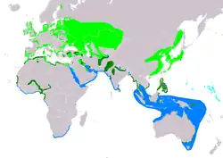 Distribución de Sternula albifrons