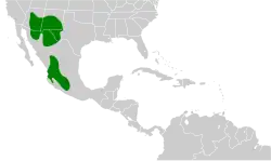 Distribución geográfica del pradero de Lilian.