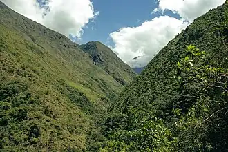 Selva húmeda Los Yungas, La Paz