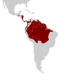 Distribución de la tigana