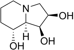 Imagen de la estructura
