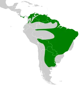 Distribución geográfica del pijuí pechiblanco.