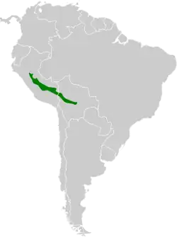 Distribución geográfica del pijuí de Cabanis.