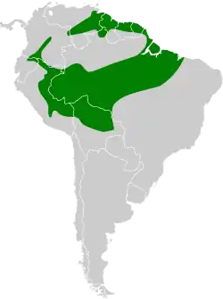 Distribución geográfica del pijuí coronipardo.