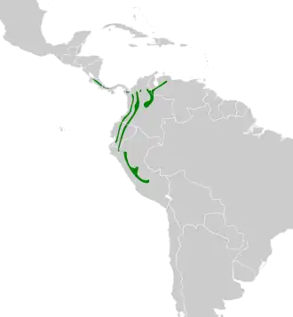Distribución geográfica del ticotico rayado.