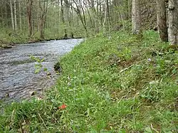 Bosque ribereño calcáreo en Western Highland Rim, Tennessee