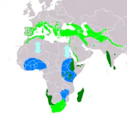 Distribución de Tachymarptis melba