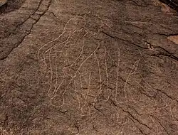 Un rebaño de elefantes