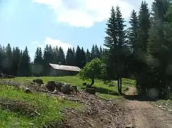 "Tabià" (construcción rural) en Pieve di Cadore.