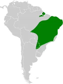 Distribución geográfica de la tangara isabel sureña.
