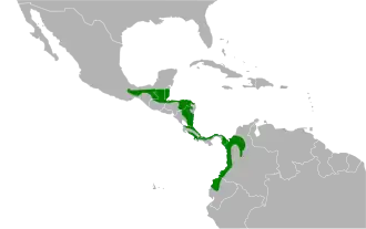 Distribución geográfica de la tangara cabecidorada.