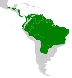 Distribución geográfica del batará mayor.
