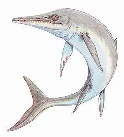 Temnodontosaurus