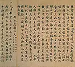 Carefully written Chinese or Japanese script.
