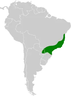 Distribución geográfica del tiluchí enano.