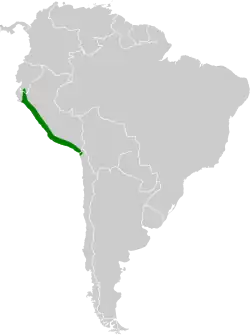 Distribución geográfica del colibrí cora