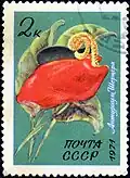 Sello postal de la URSS con una imagen de Anthurium de Scherzer