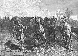 Trilla en la exhacienda de Tepenacasco, Acatlán en 1900.