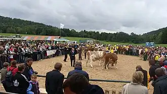 Exposición Nacional del Ganado Simmental y Campeonato Regional del Caballo Hucul.