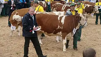 Exposición Nacional del Ganado Simmental y Campeonato Regional del Caballo Hucul.