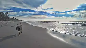 Playa en San Bernardo del Viento